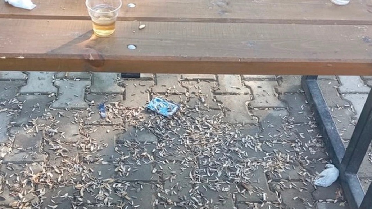 İzmir'de vatandaşlar parklarda denetimlerin artırılmasını talep ediyor