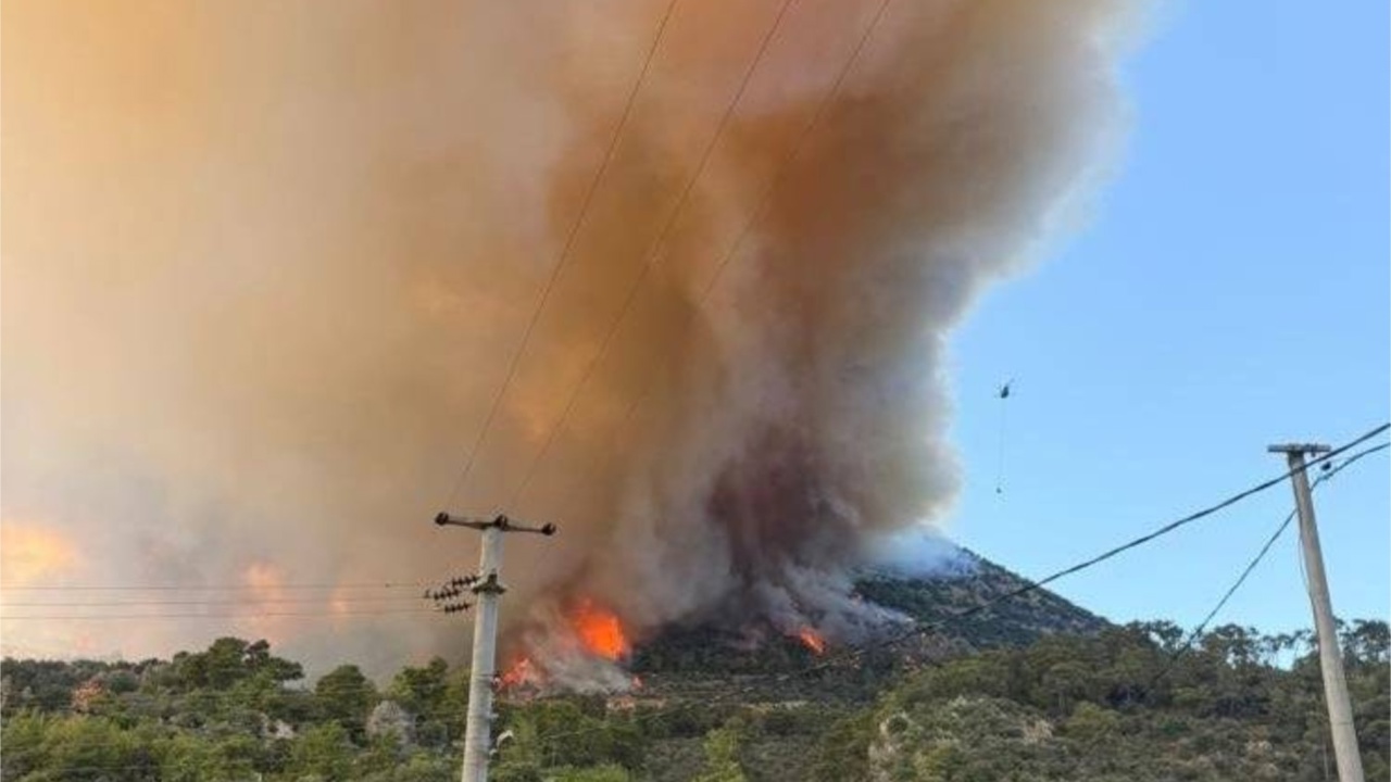 Muğla'da orman yangını