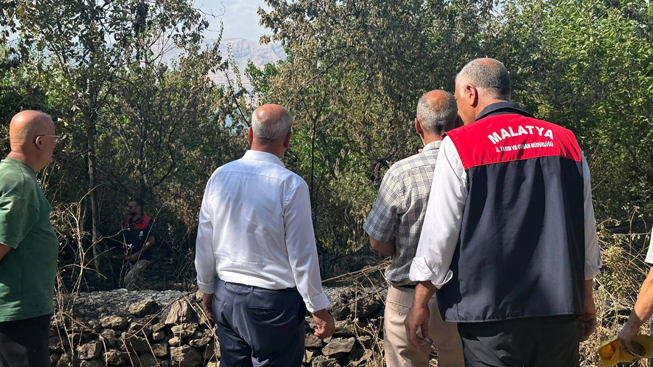 Malatya'da anız yangını: 50 dekarlık alan ile çok sayıda ağaç yandı
