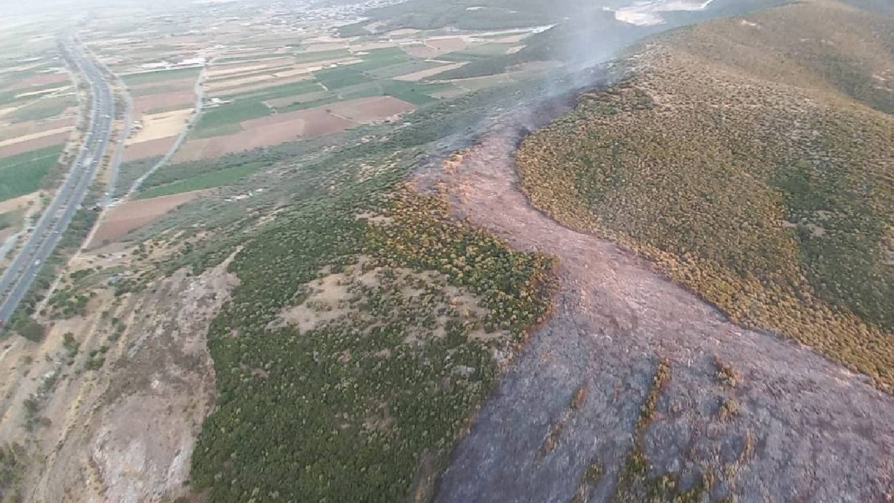 İzmir'de çıkan orman yangını kontrol altına alındı