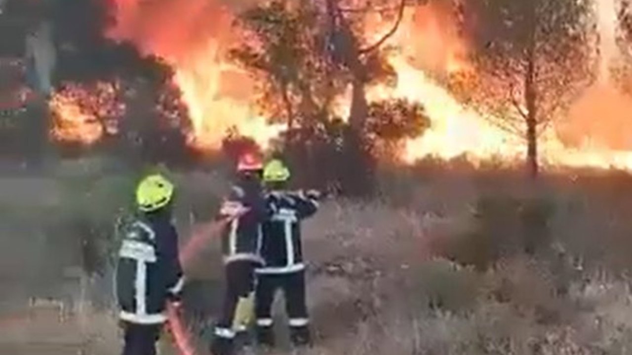 Fransa'da yanan alanların büyüklüğü 115 bin hektara ulaştı