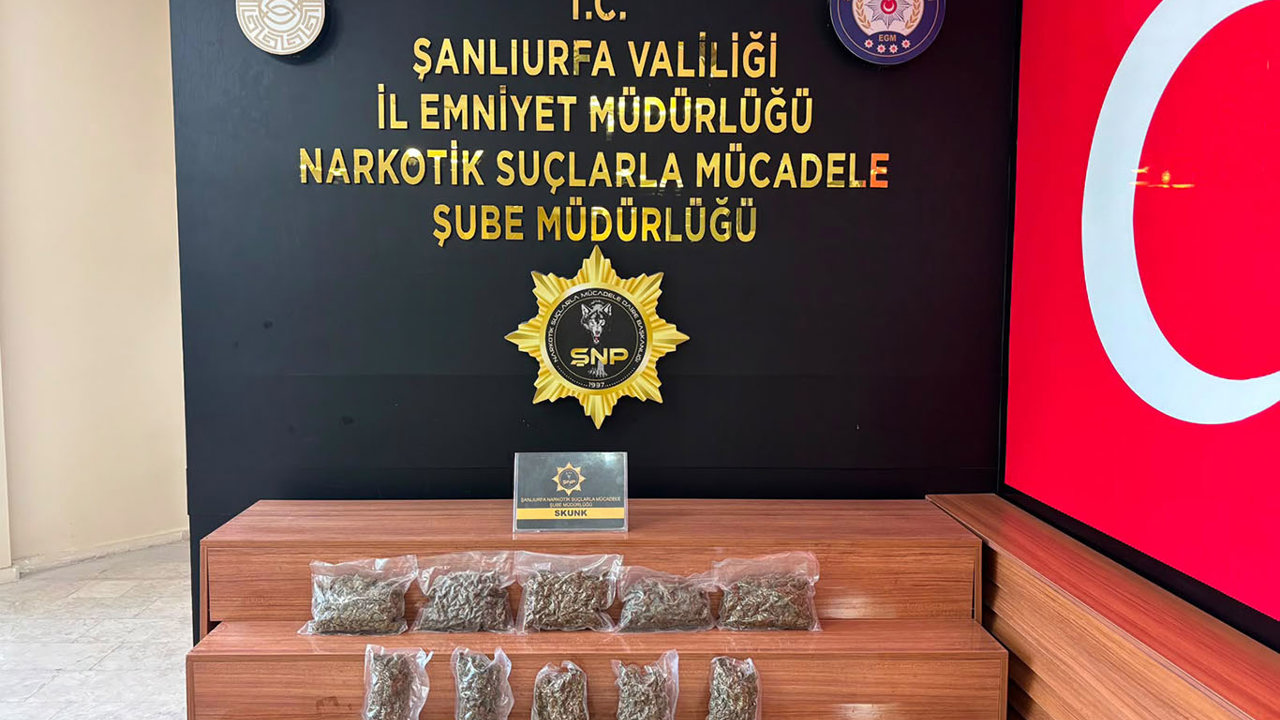 Şanlıurfa'da 2 kilo 600 gram skunk ele geçirildi: Bir tutuklama