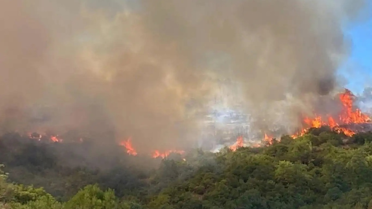 Çanakkale'de orman yangını riskine karşı uyarı yapıldı