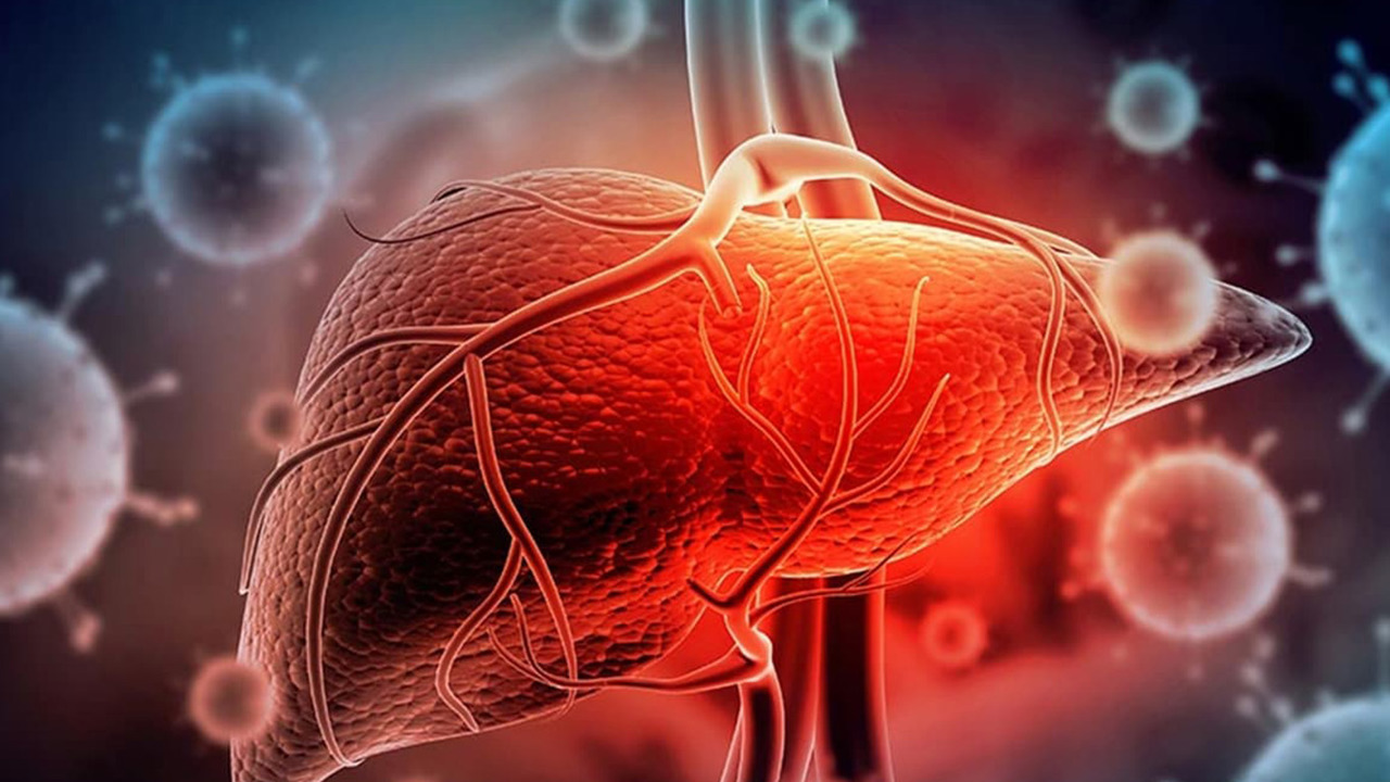 Dünya Hepatit Günü: 287 milyon kişi kronik hepatitle yaşıyor