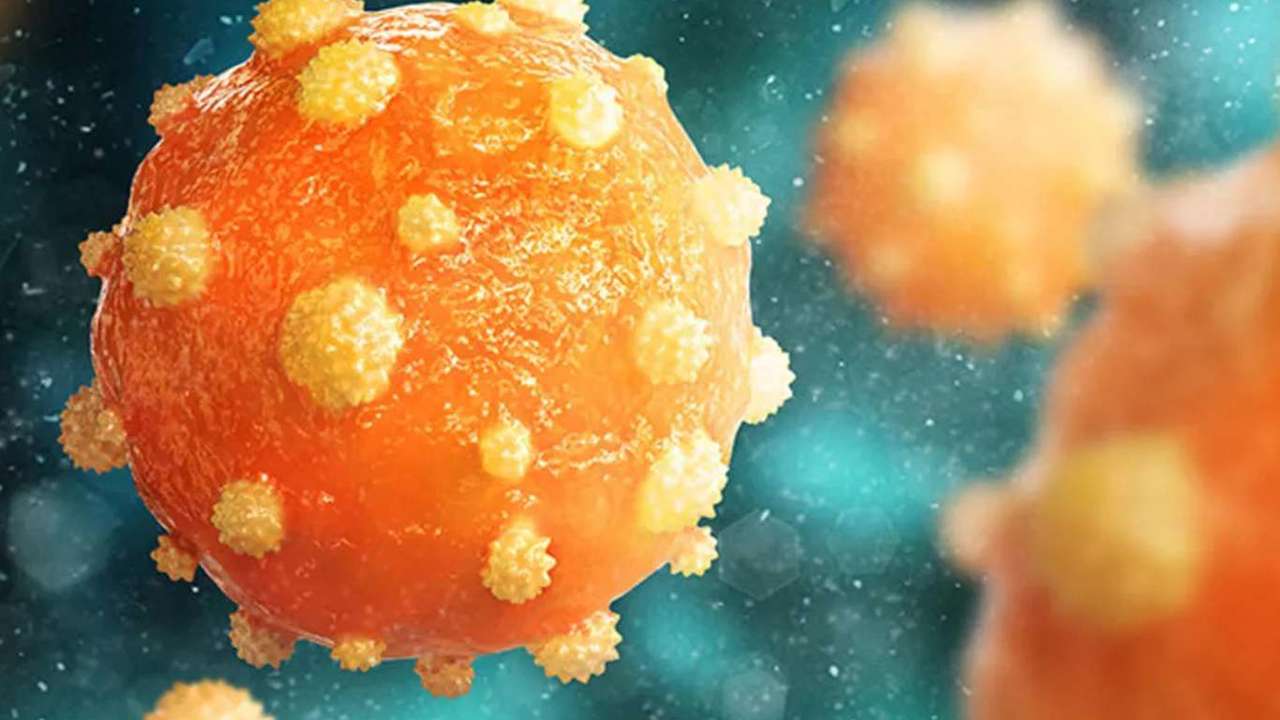 Hepatitler hakkında doğru bilinen yanlışlar