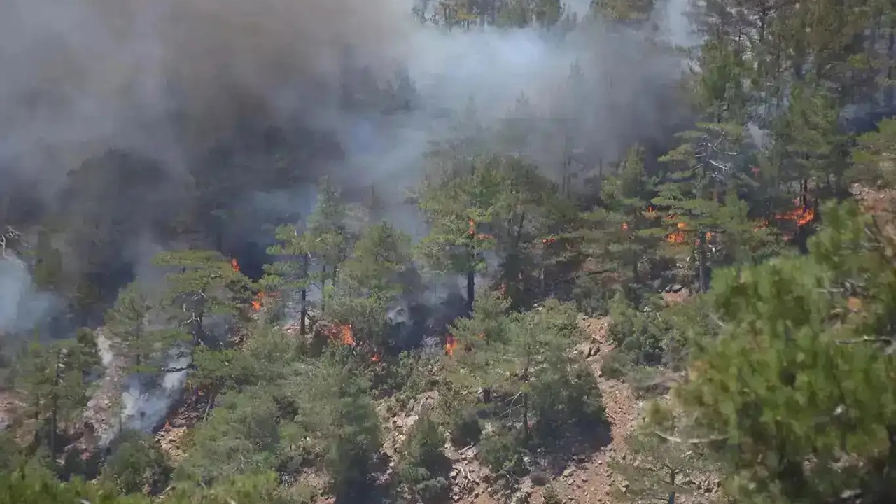 Antalya'daki orman yangınına ikinci günde de yoğun müdahale