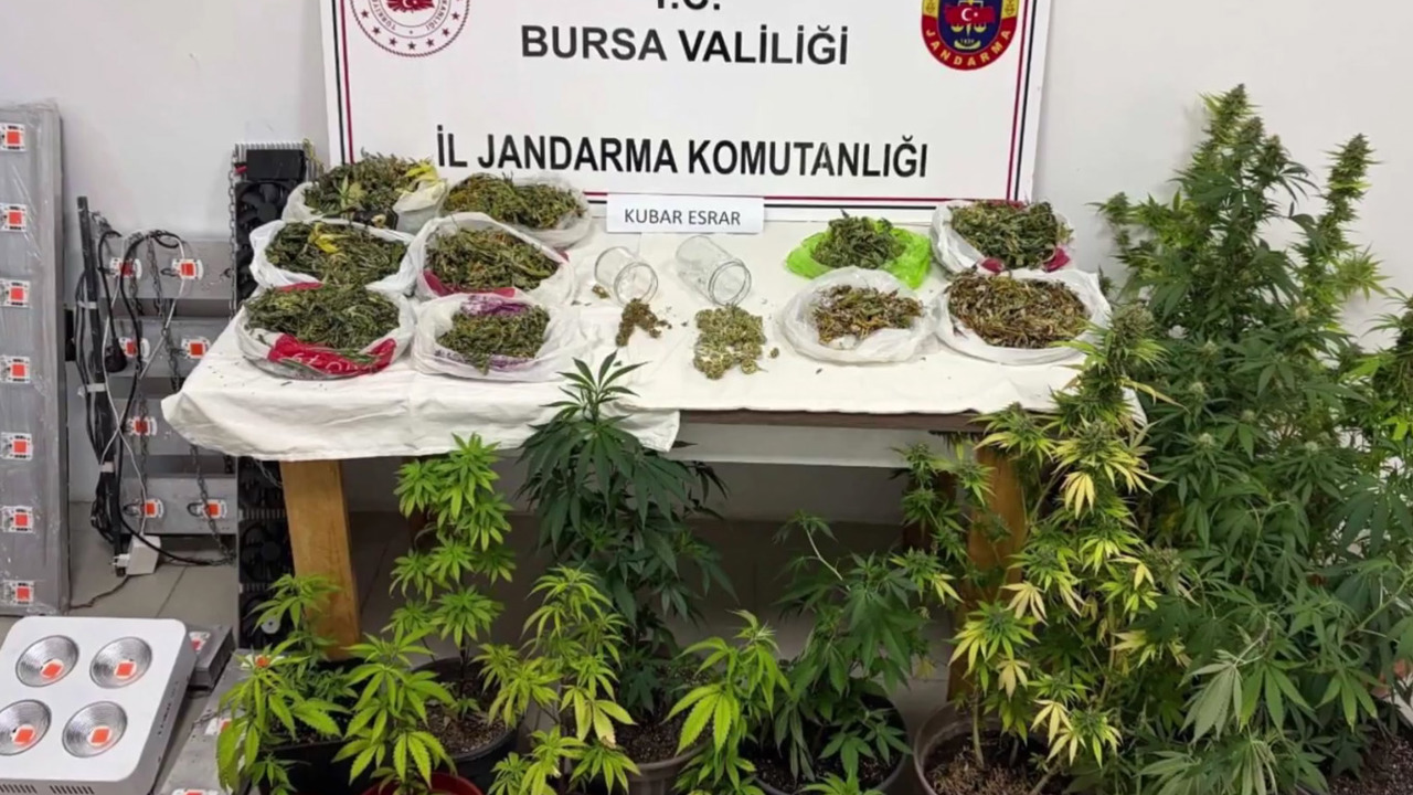 24 ilde uyuşturucu ve yasa dışı kenevir operasyonu: 80 kişi tutuklandı