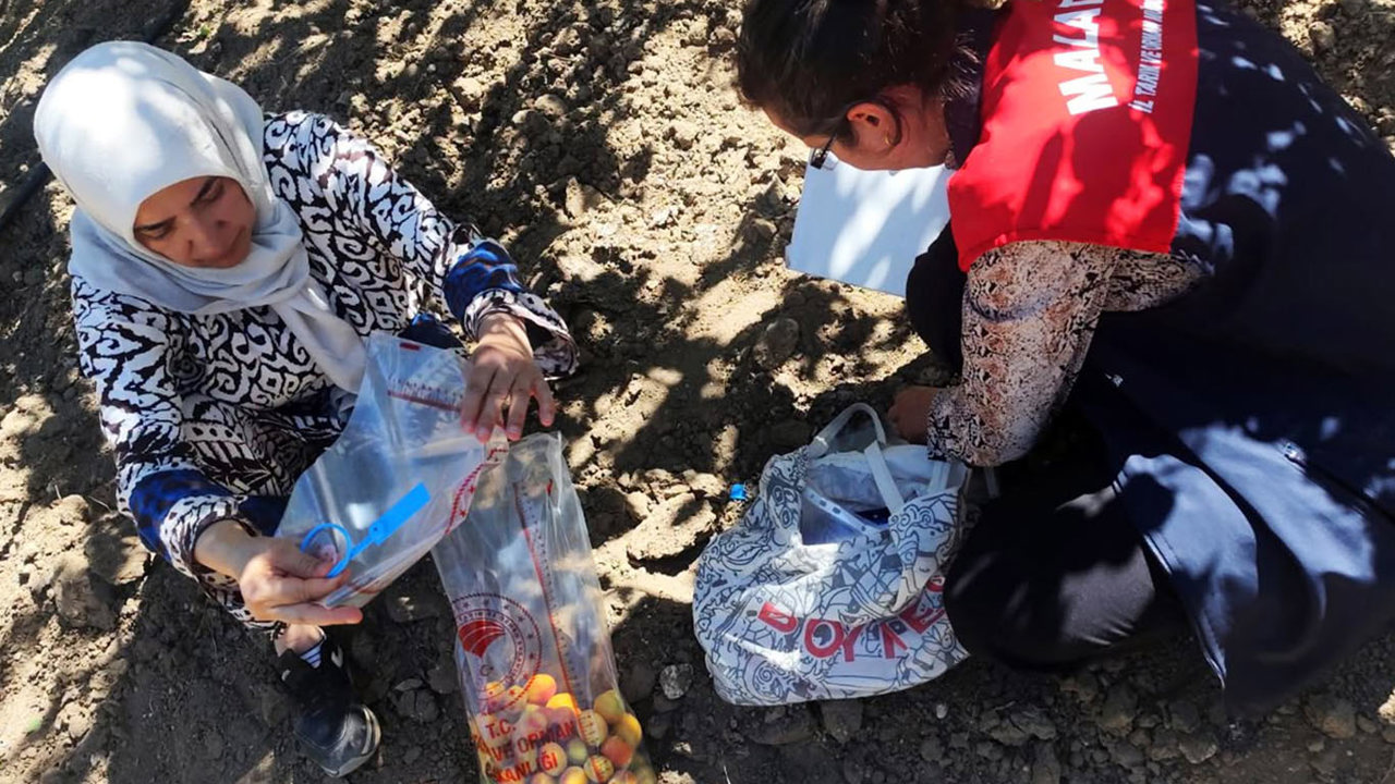 Malatya'da pestisit denetimlerinde 21 üreticiye işlem yapıldı