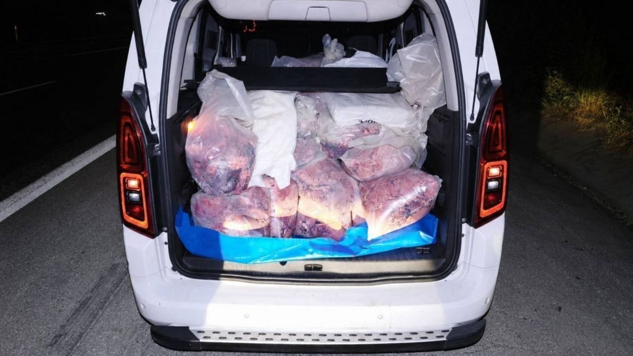 Mersin'de 877 Kilogram sağlıksız sakatat ele geçirildi