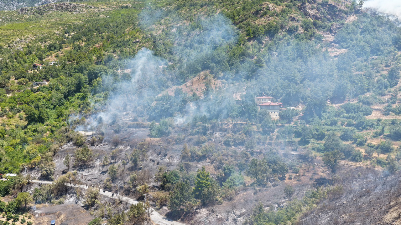 Alanya'daki orman yangınında 153 kişi tahliye edildi