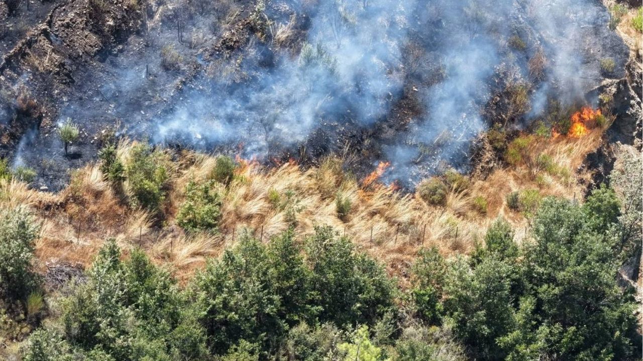 Bakan Yumaklı: 169 yangından 163'ü tamamen kontrol altına alındı