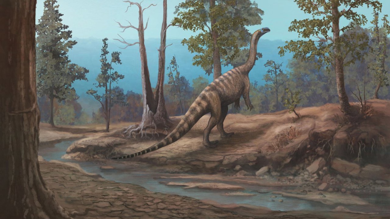 Araştırmacılar Zimbabve'de yeni bir dinozor türü keşfetti