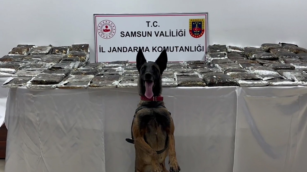 Samsun'da tırda 132 kilogram toz esrar ele geçirildi
