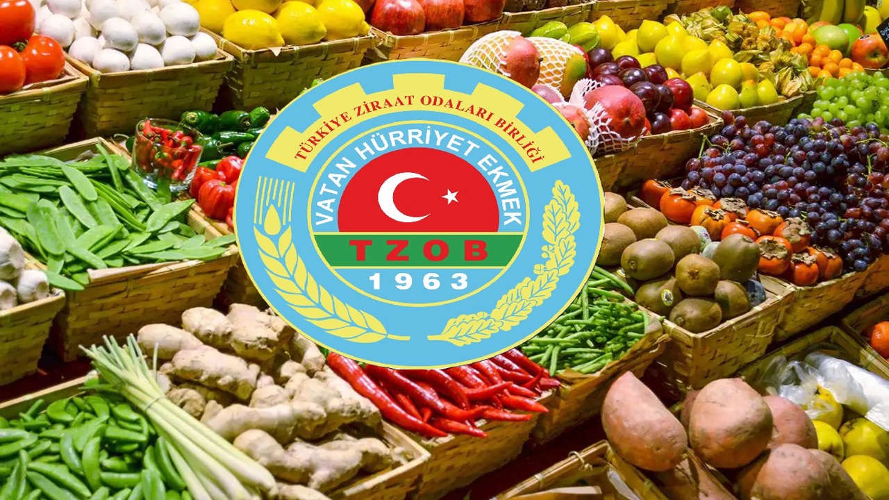 TZOB raporunda üretici‑market uçurumu