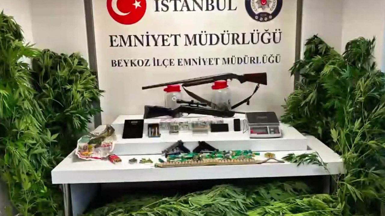 Beykoz'da uyuşturucu operasyonunda Hint keneviri ve silah ele geçirildi