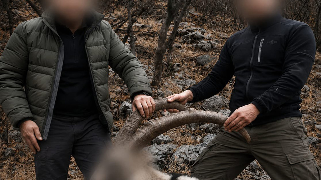 Siirt'te 6 yıl önce koruma altındaki yaban keçilerini avlayanlara ceza