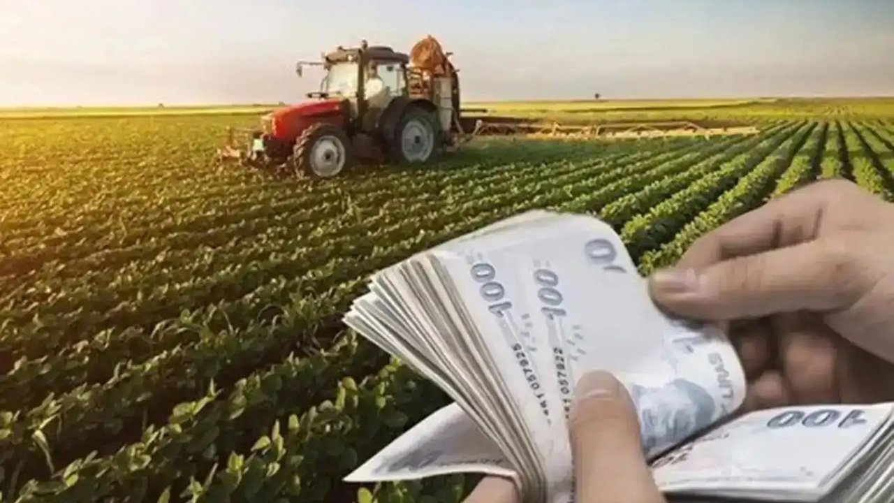 IPARD III kapsamında temmuzda 634,3 milyon lira hibe desteği sağlandı