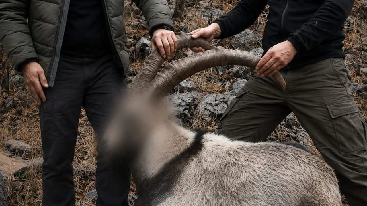 Siirt'te koruma altındaki 5 yaban keçisini avlayanlara 6 yıl sonra ceza