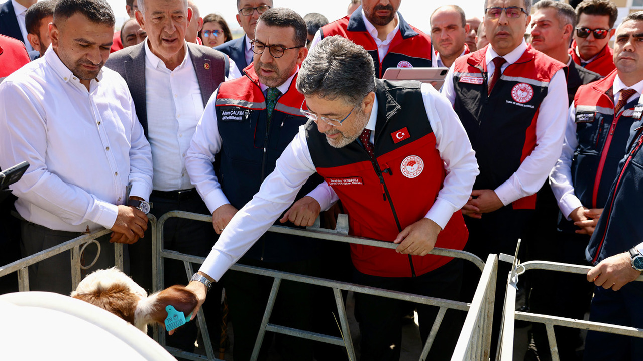 17 milyon büyükbaş hayvan için dijital küpe sistemi başlatıldı 