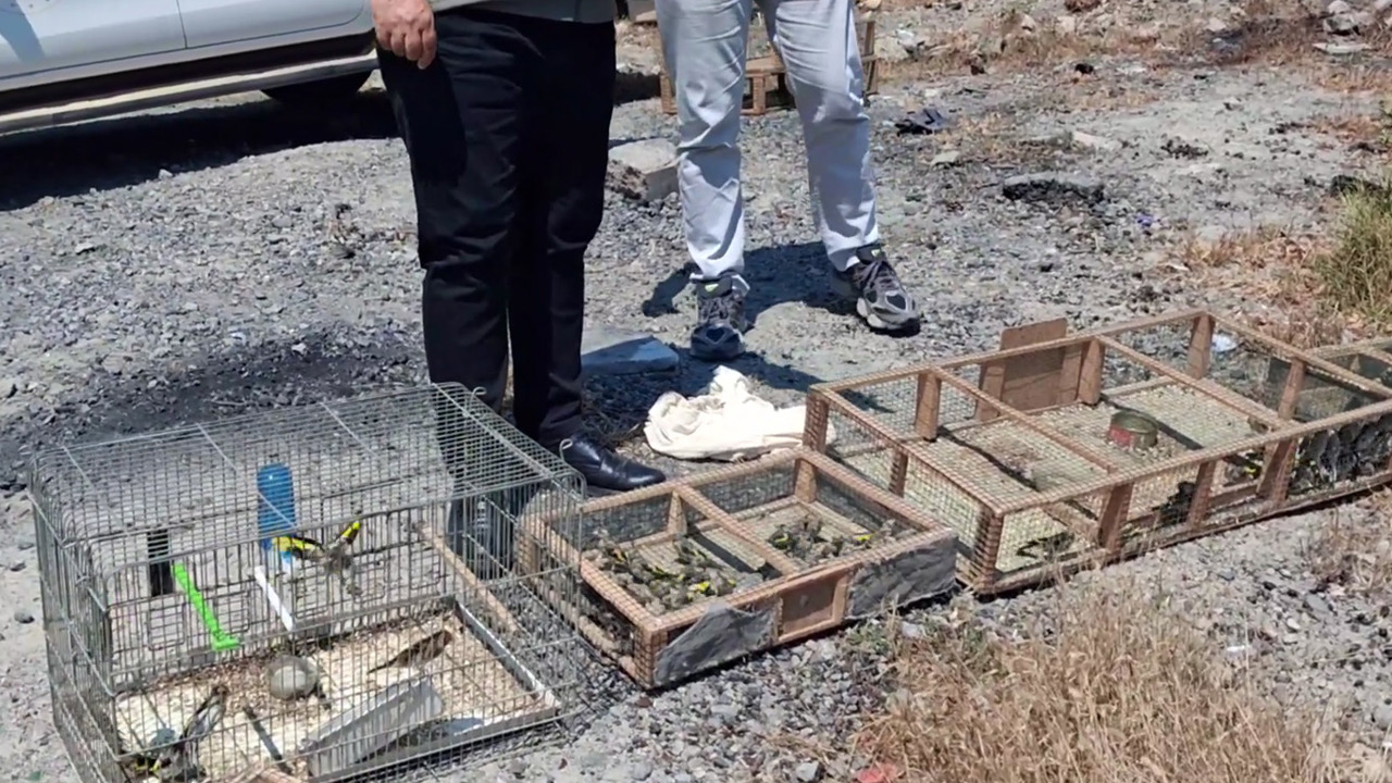 Kahramanmaraş’ta kaçak saka kuşu avlayan 4 kişiye 2,2 milyon lira ceza