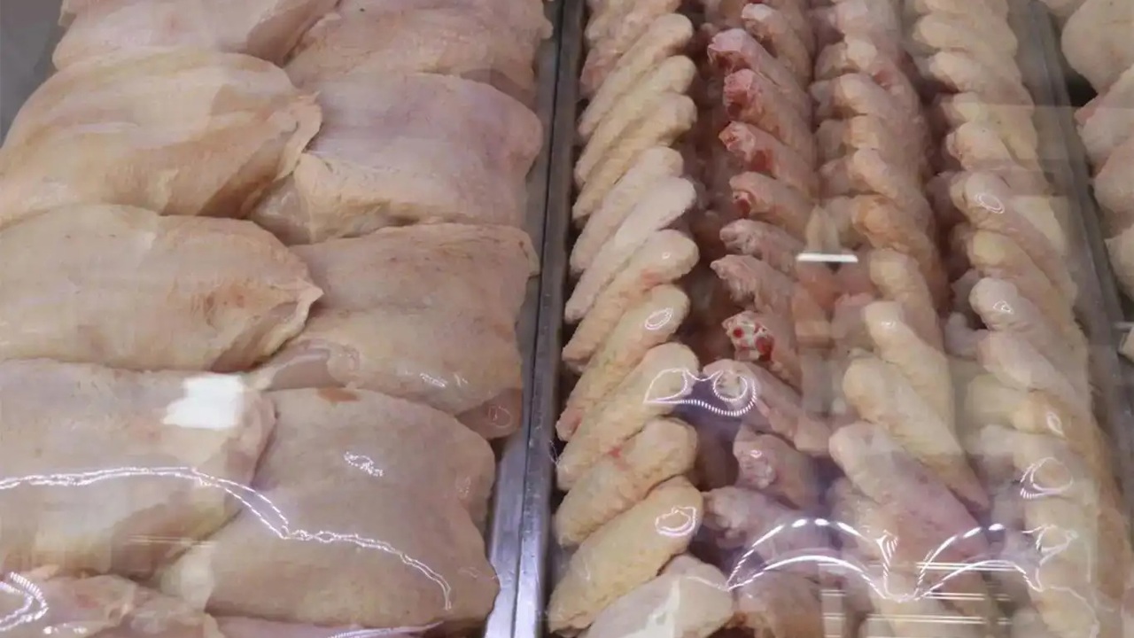 Tavuk eti üretimi haziranda 232 bin 238 tona yükseldi
