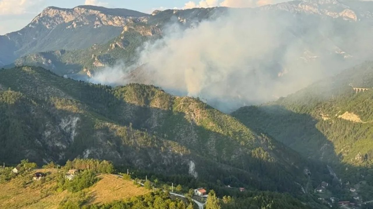 Bosna Hersek'te bir şehir, orman yangını nedeniyle doğal afet durumu ilan etti
