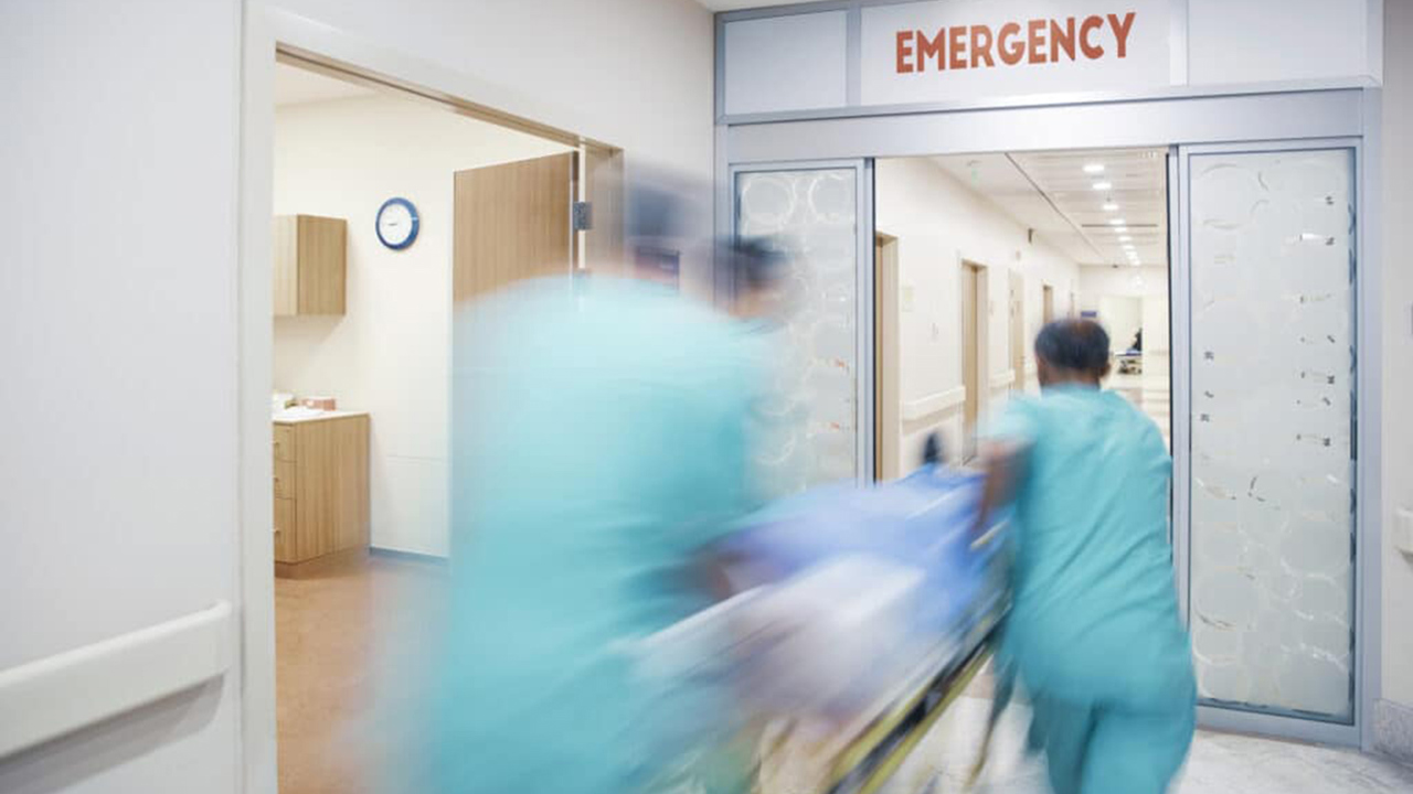 ABD'de salmonella krizi: 17 eyalette vaka sayısı 98'e ulaştı