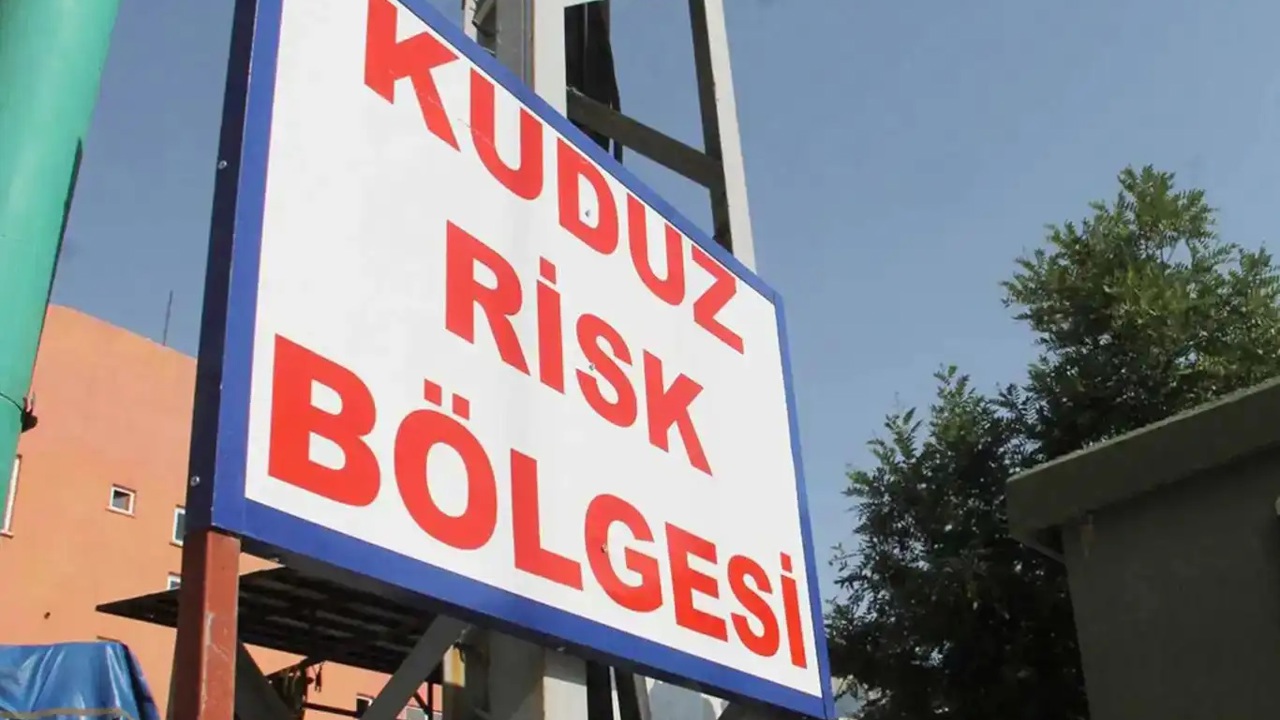 Diyarbakır'da 3 yaşındaki çocukta kuduz vakası tespit edildi