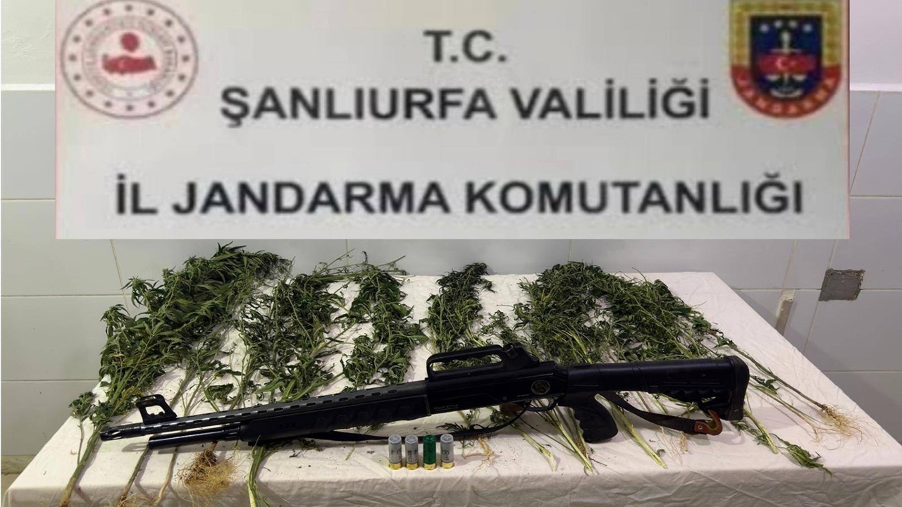 Şanlıurfa’da uyuşturucu operasyonu