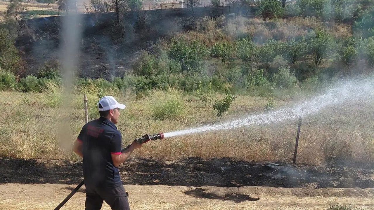 Siirt'te korkutan yangın: 85 dönümlük alan zarar gördü