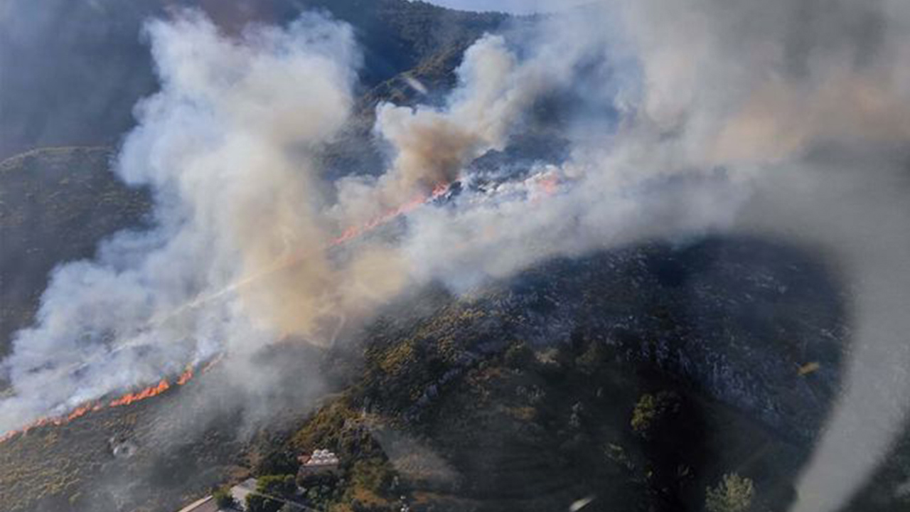 Muğla'da orman yangını
