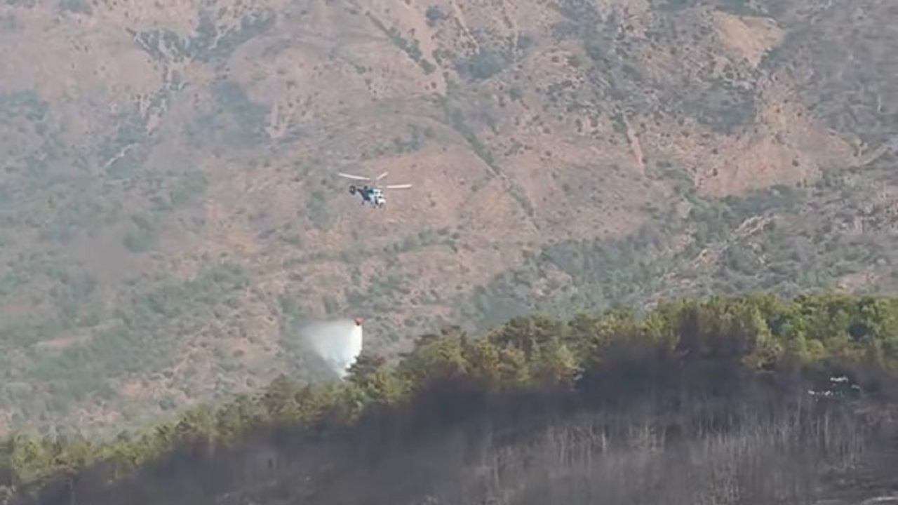 Muğla'daki orman yangını kontrol altına alındı