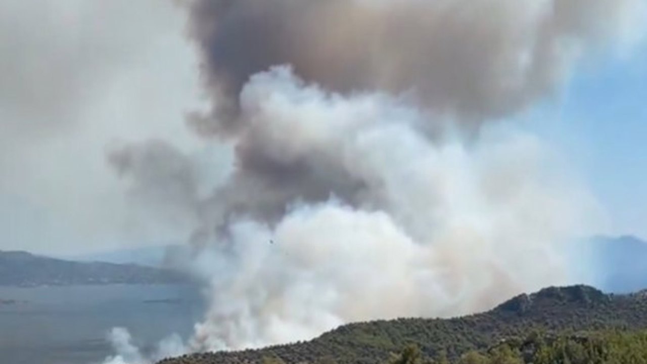 Yunanistan'da orman yangını: 2 ölü