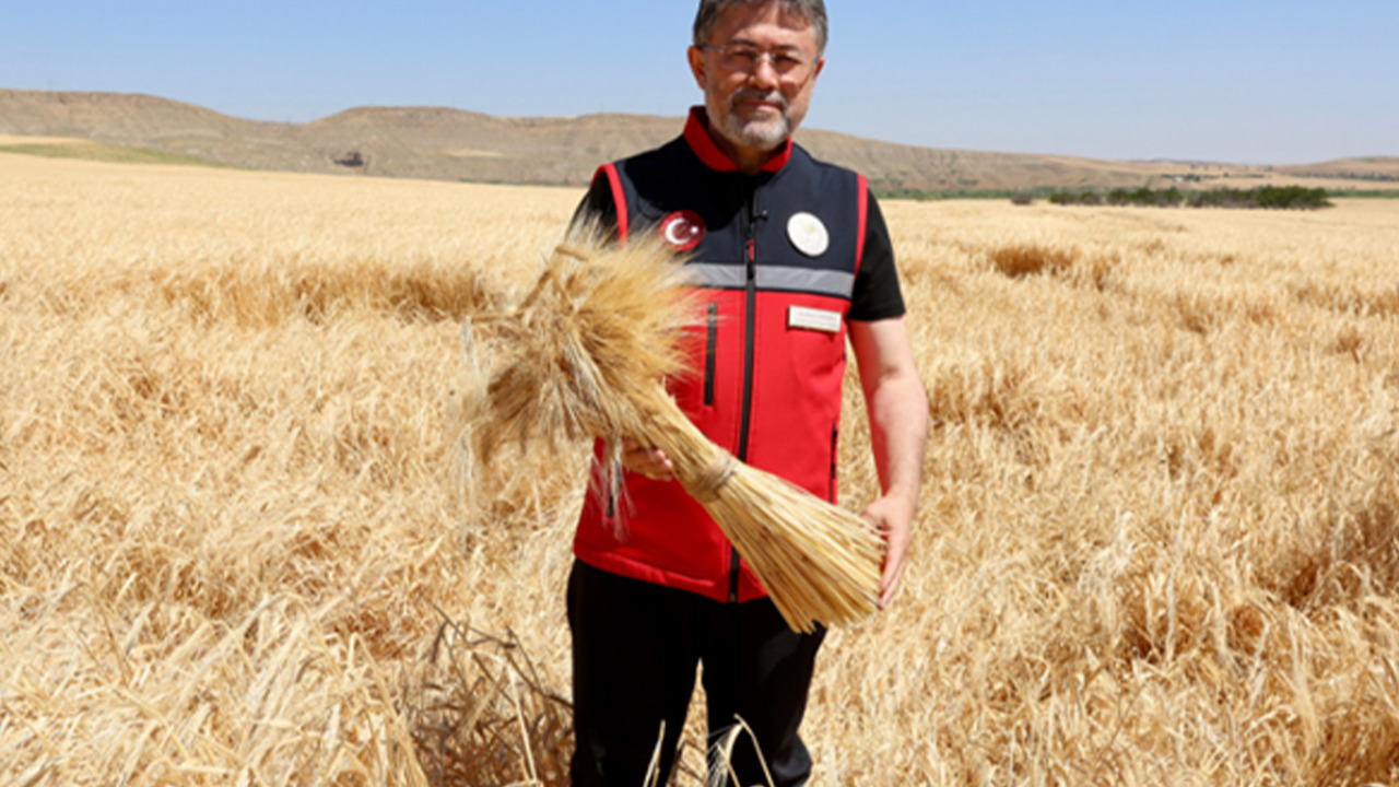 Bakan Yumaklı: TMO üreticilere 120 milyar lira ödeme yaptı