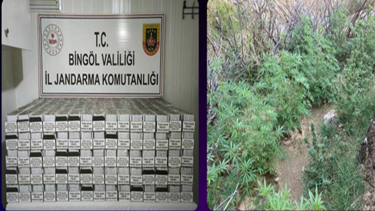 Bingöl’de uyuşturucu operasyonu: 30 şüpheli yakalandı