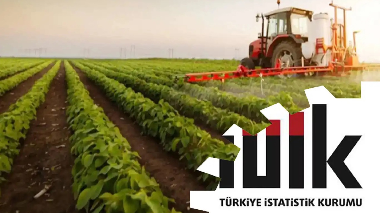 Tarımsal girdi fiyatları yıllık yüzde 32,06 arttı