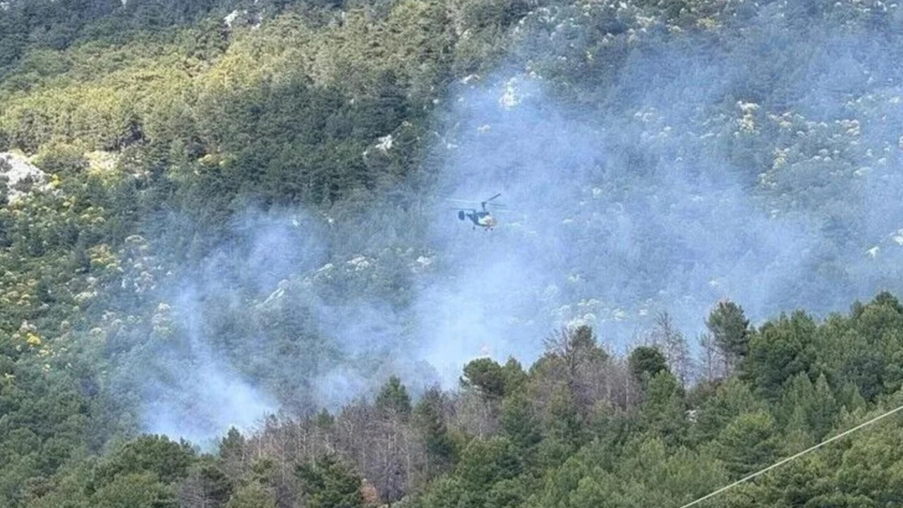Konya'da orman yangını