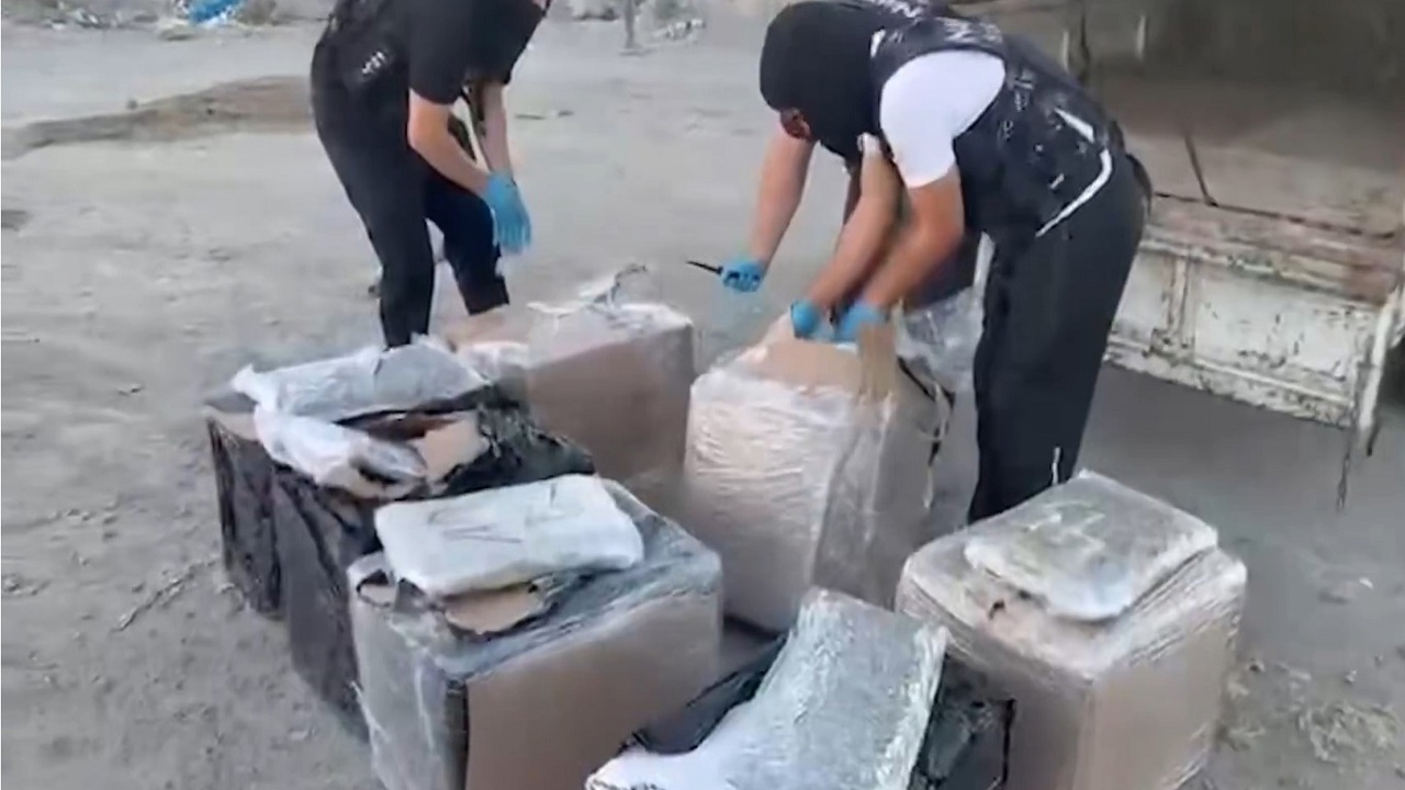 İstanbul Zeytinburnu'nda 83 kilogram skunk ele geçirildi