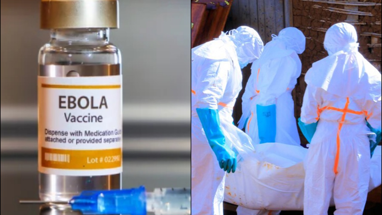 Kongo'daki Ebola salgınına karşı 70 bin doz aşı gönderilecek