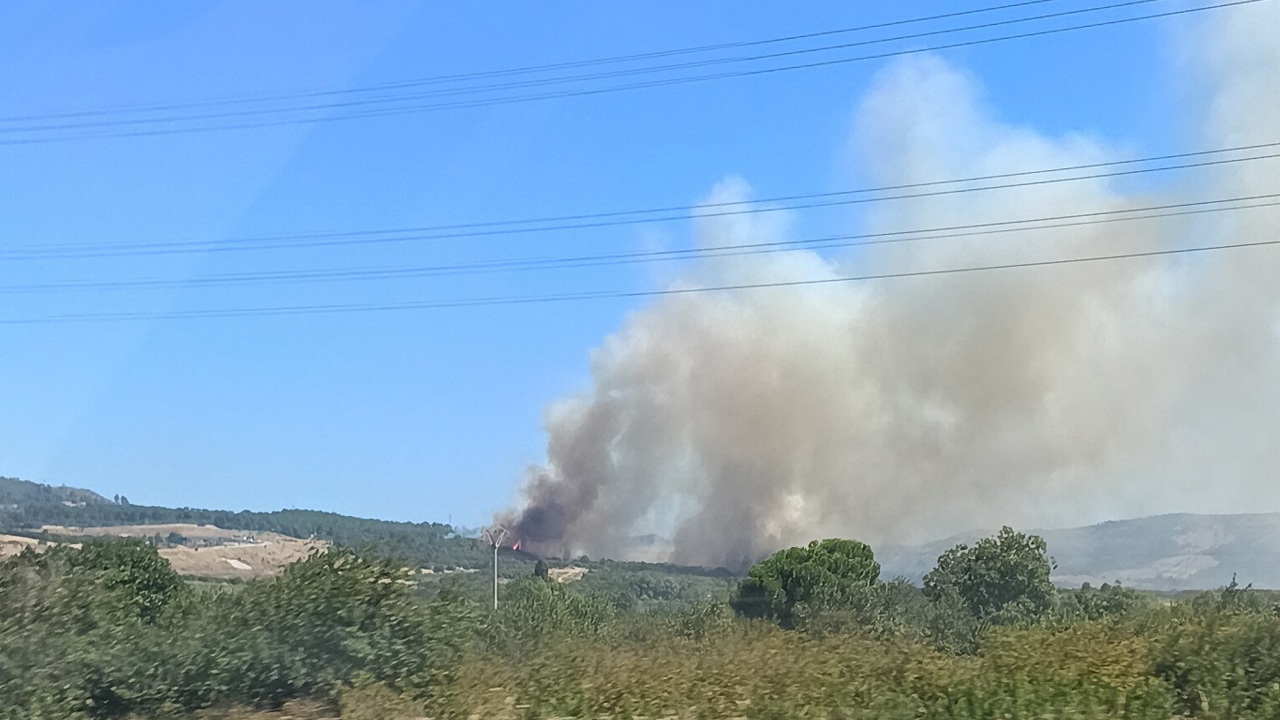 Çanakkale Lapseki'de yangın