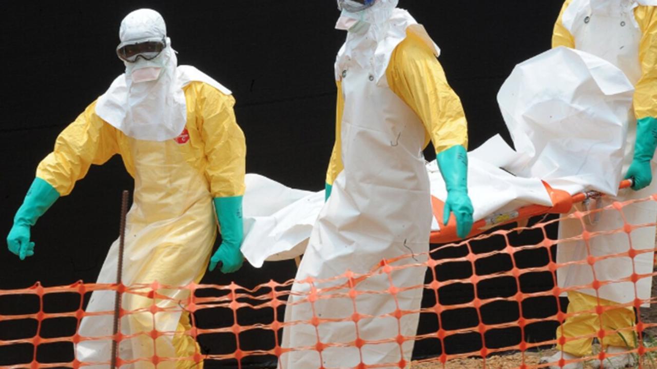 DSÖ: Ebola salgınında genel risk çok yüksek