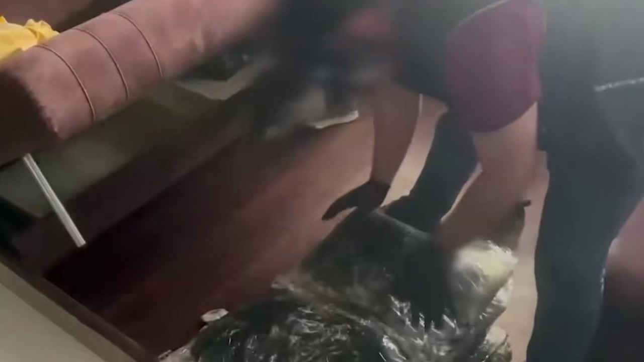 İstanbul Ataşehir’de 44 kilo skunk ele geçirildi