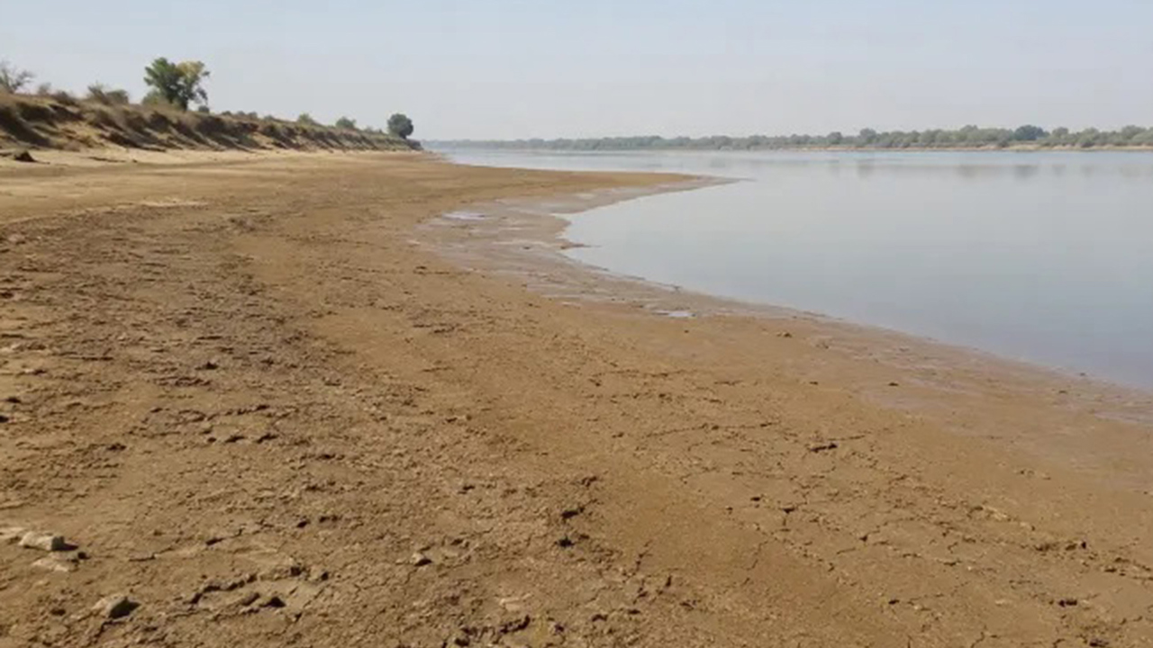 Sudan'da Nil alarmı: Kuraklık ve savaş ülkenin "gıda ambarını" vuruyor