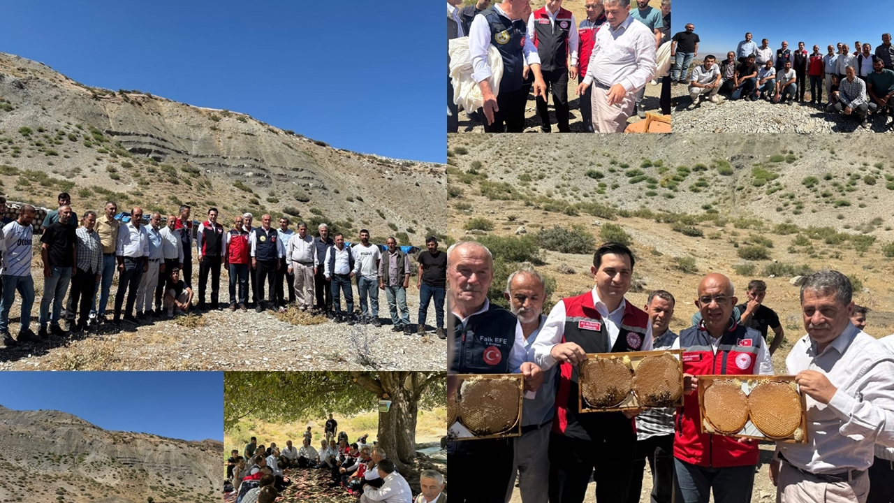 Pervari’de organik bal üretimi için yeni alanlar oluşturuluyor