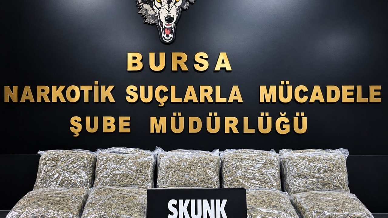 Bursa’da uyuşturucu operasyonu: 45 kilo esrar ele geçirildi