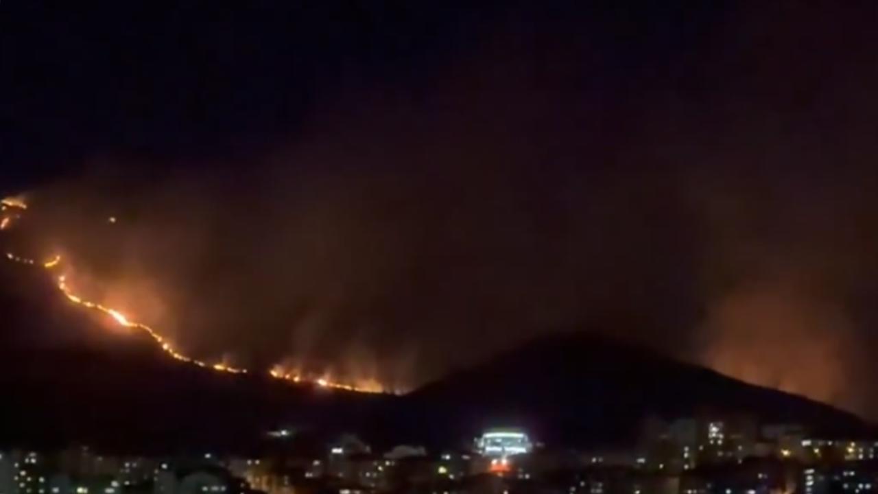 Ankara'nın Mamak ilçesinde ağaçlık alanda yangın