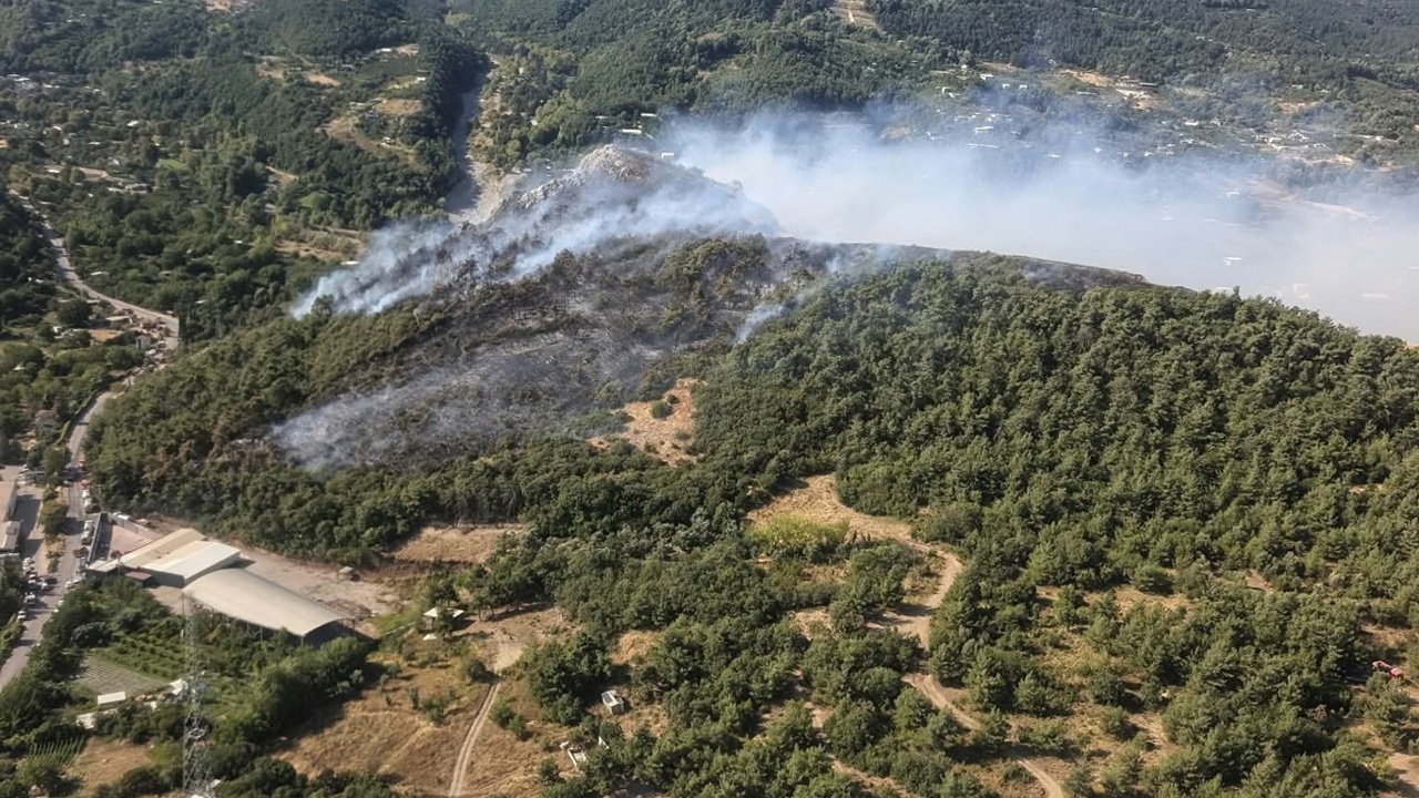 Bursa’da 3 ayrı noktada çıkan orman yangınları kontrol altına alındı