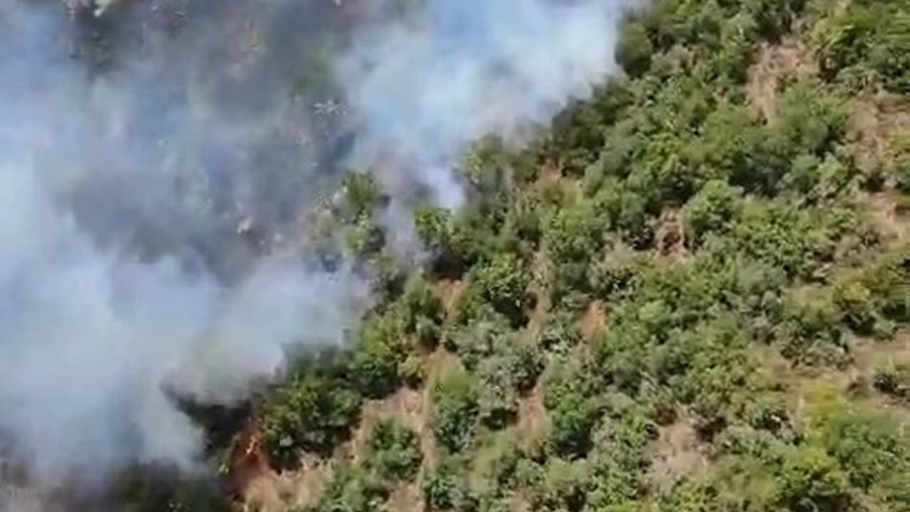 Bursa’da orman yangını
