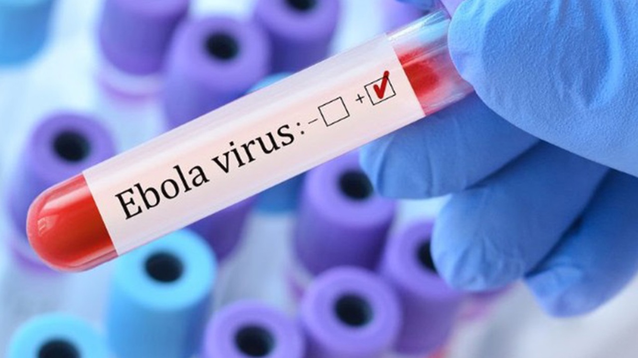 Kongo'da Ebola salgını hızla yayılıyor: 16 bin doz aşı ulaştırıldı