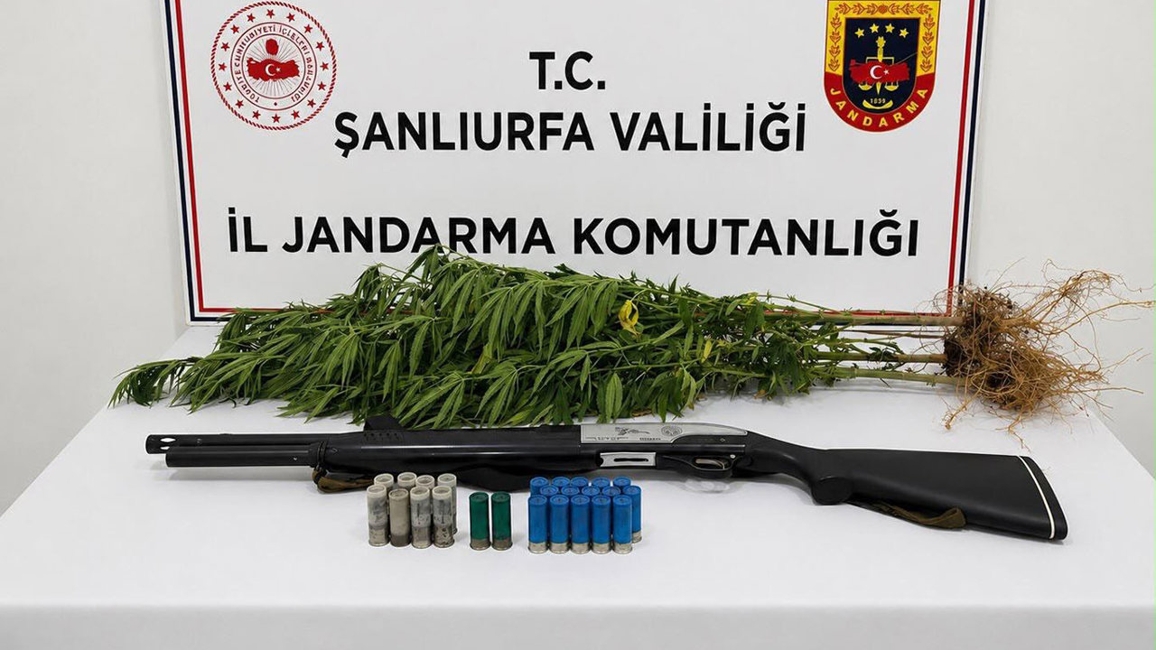 Şanlıurfa'da uyuşturucu operasyonu: Bir şüpheli gözaltına alındı